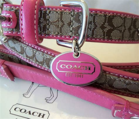 coach collar for small dogs.